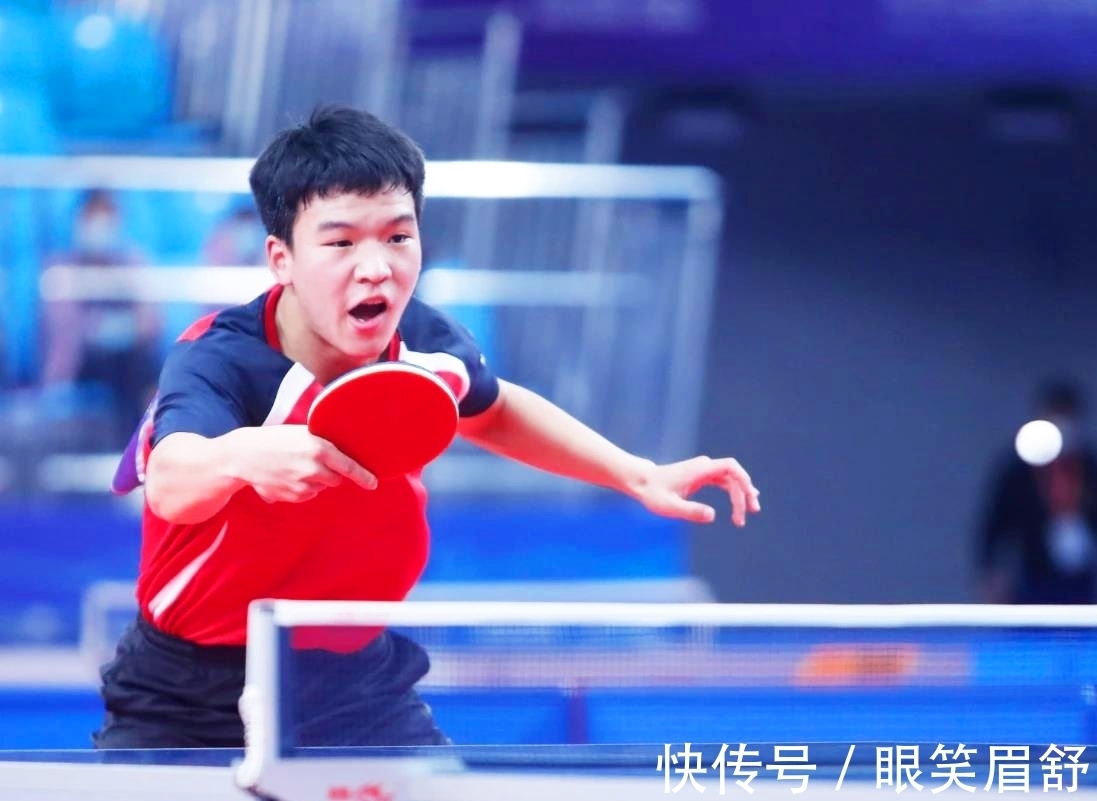 毛球界的领 毛球界的领